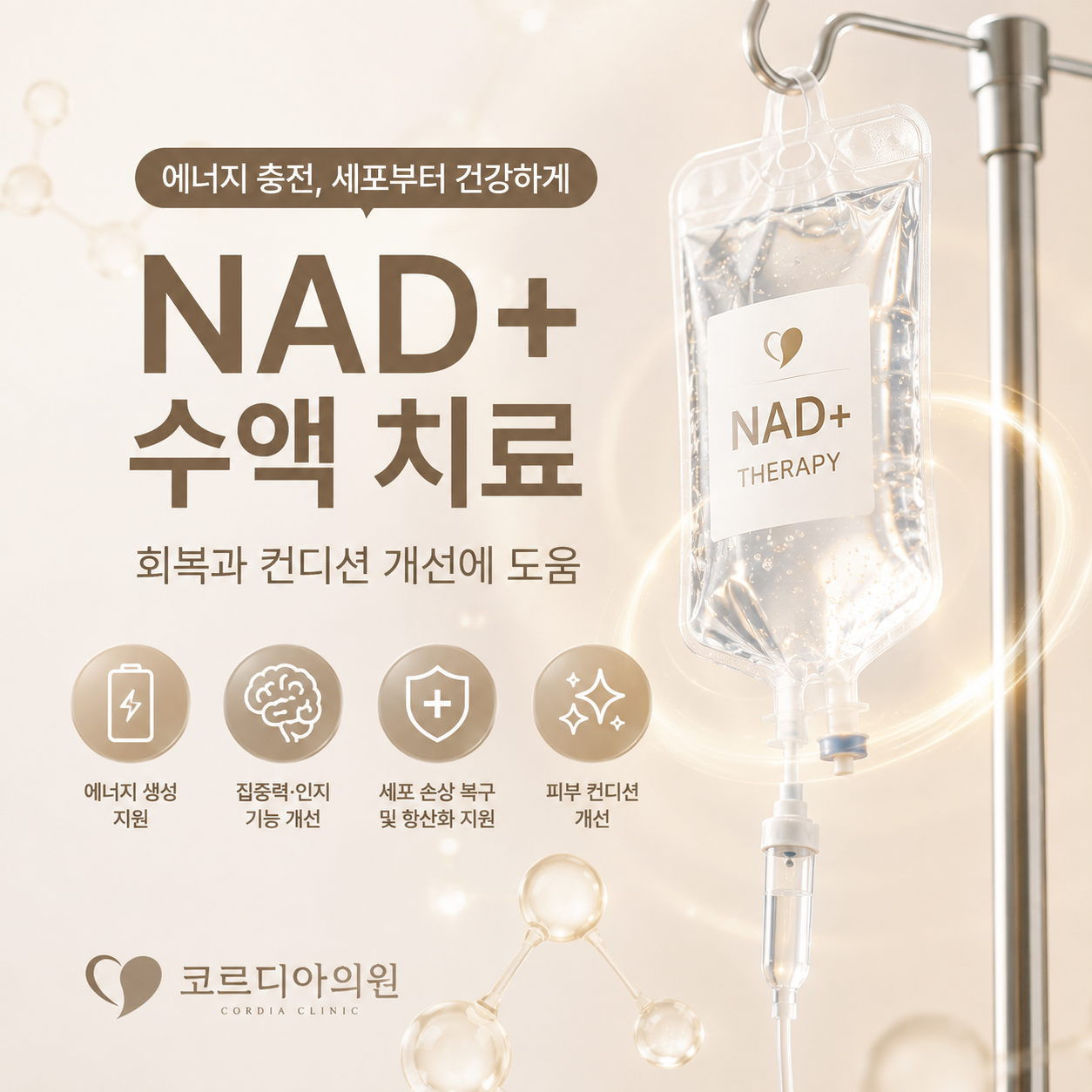 NAD+ 수액 치료, 세포 재생의 과학적 근거와 안전하게 받는 법
