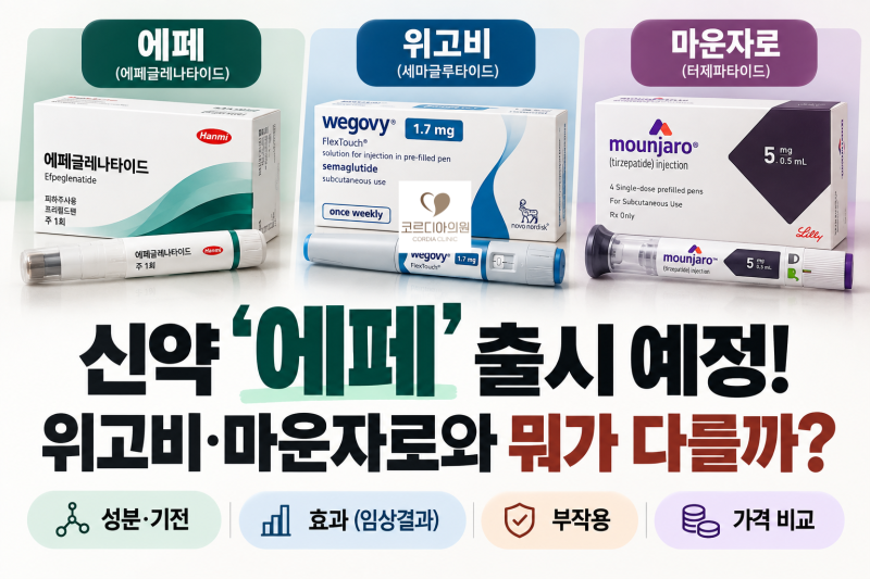 국산 비만주사 ‘에페’ 출시 예정, 효과·부작용·가격은? 위고비·마운자로와 비교해봤습니다