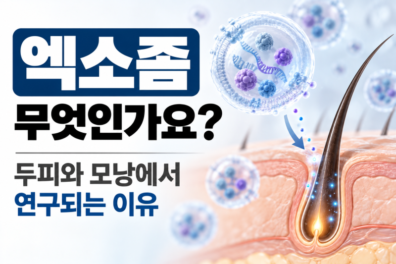 엑소좀은 무엇인가요? 두피와 모낭에서 연구되는 이유 | 선릉역 탈모치료
