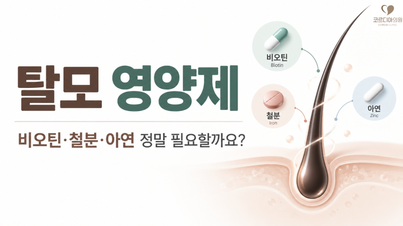 탈모에 좋은 영양제, 비오틴·철분·아연 정말 필요할까요? 효과와 부작용 정리 | 선릉역 탈모치료 의원