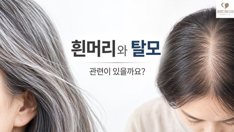 흰머리와 탈모는 관련이 있을까요? 새치가 많으면 탈모도 빨리 진행될까요? | 선릉역 탈모치료 코르디아의원