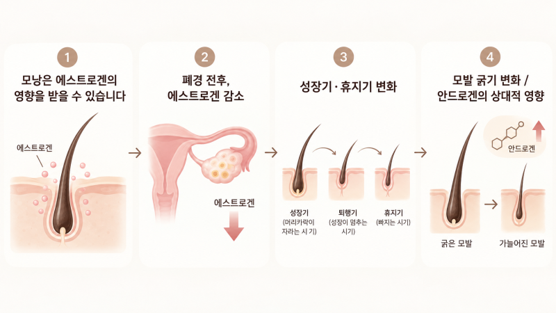 폐경기 여성탈모, 40~60대에 머리숱이 줄어드는 이유는 무엇일까요? | 선릉역 탈모치료 코르디아의원 사진 4