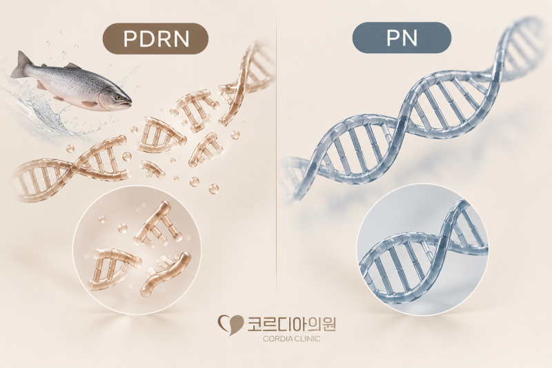 두피 PDRN은 모발 성장에 도움이 될까요? 탈모 임상연구와 효과 정리 | 선릉역 탈모치료 코르디아의원
