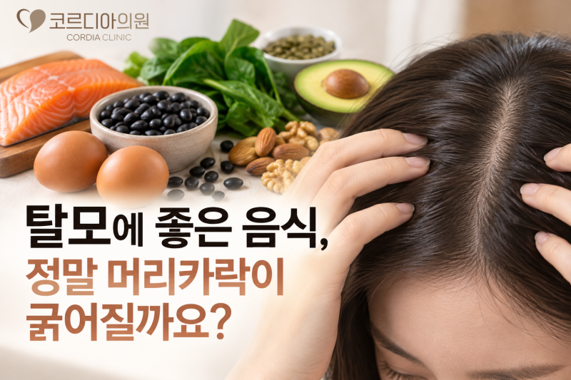 대치동 탈모치료 탈모에 좋은 음식, 정말 머리카락이 굵어질까요? 의학적으로 알아보는 탈모와 영양의 관계