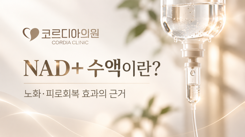 NAD+ 수액이란? 노화·피로회복 효과의 근거는 어디까지일까요?